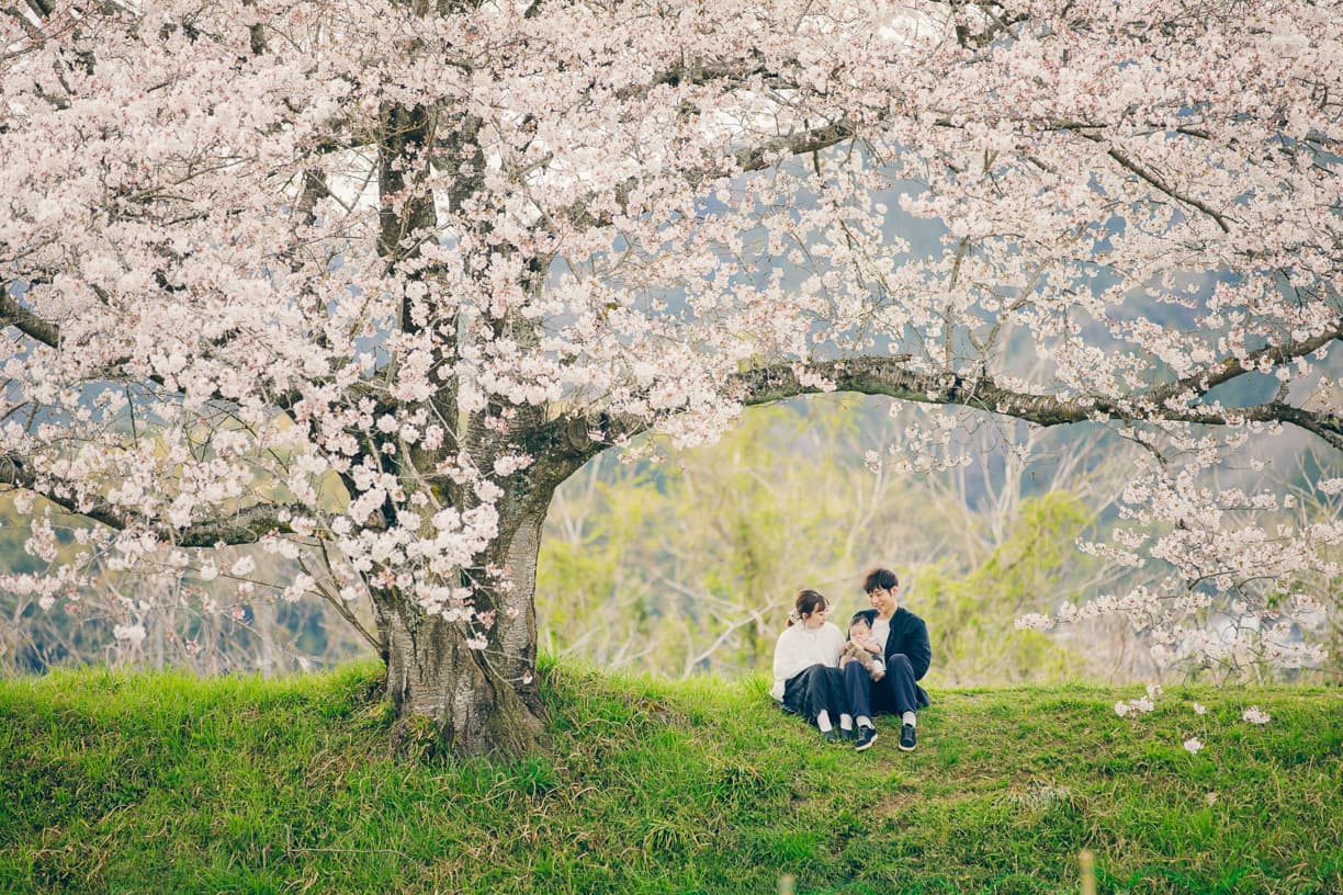 木の下にいる家族