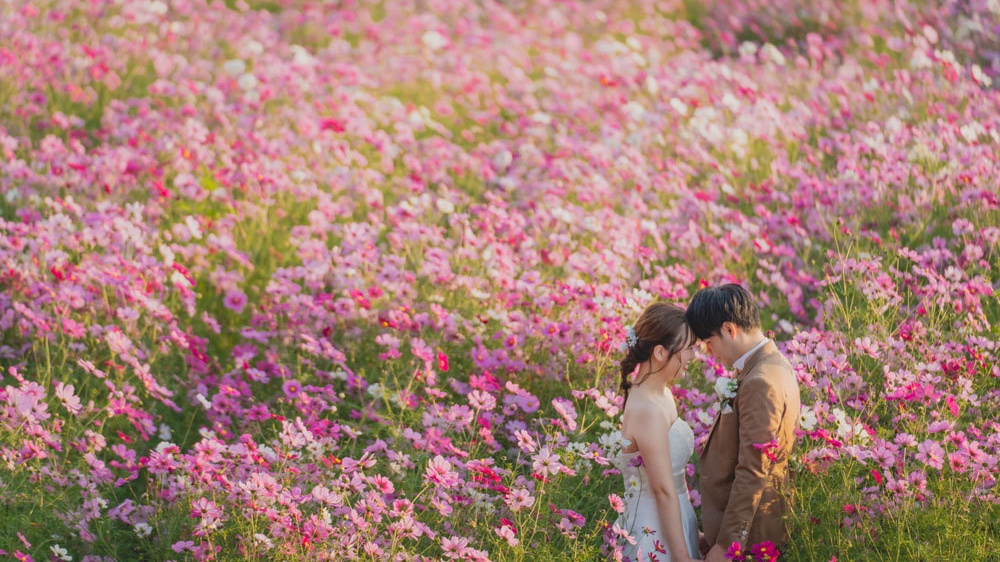 鳥取県花回廊02