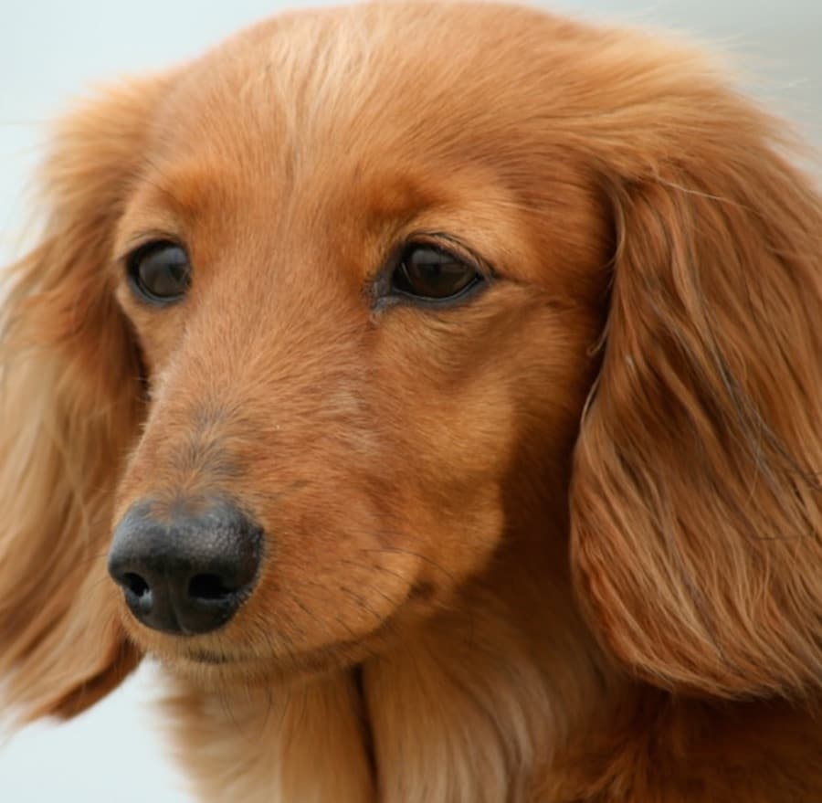 スタッフイメージ